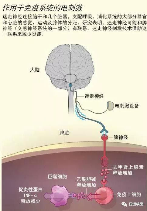 微信图片_20200218080835.jpg