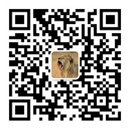 扫一扫，了解更多资讯