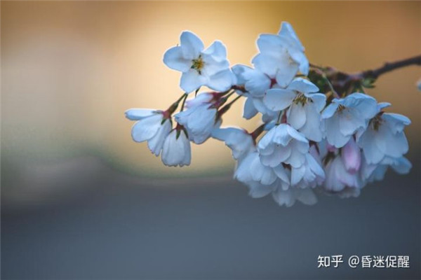 昏迷植物人促醒的临床过程