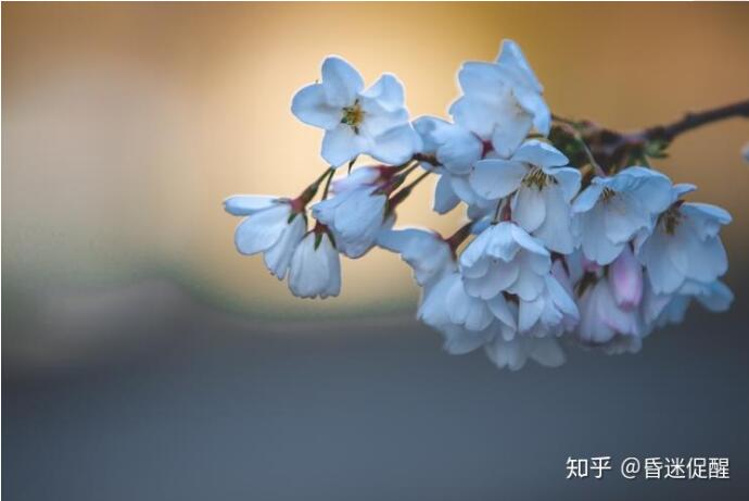 昏迷植物人促醒的临床过程